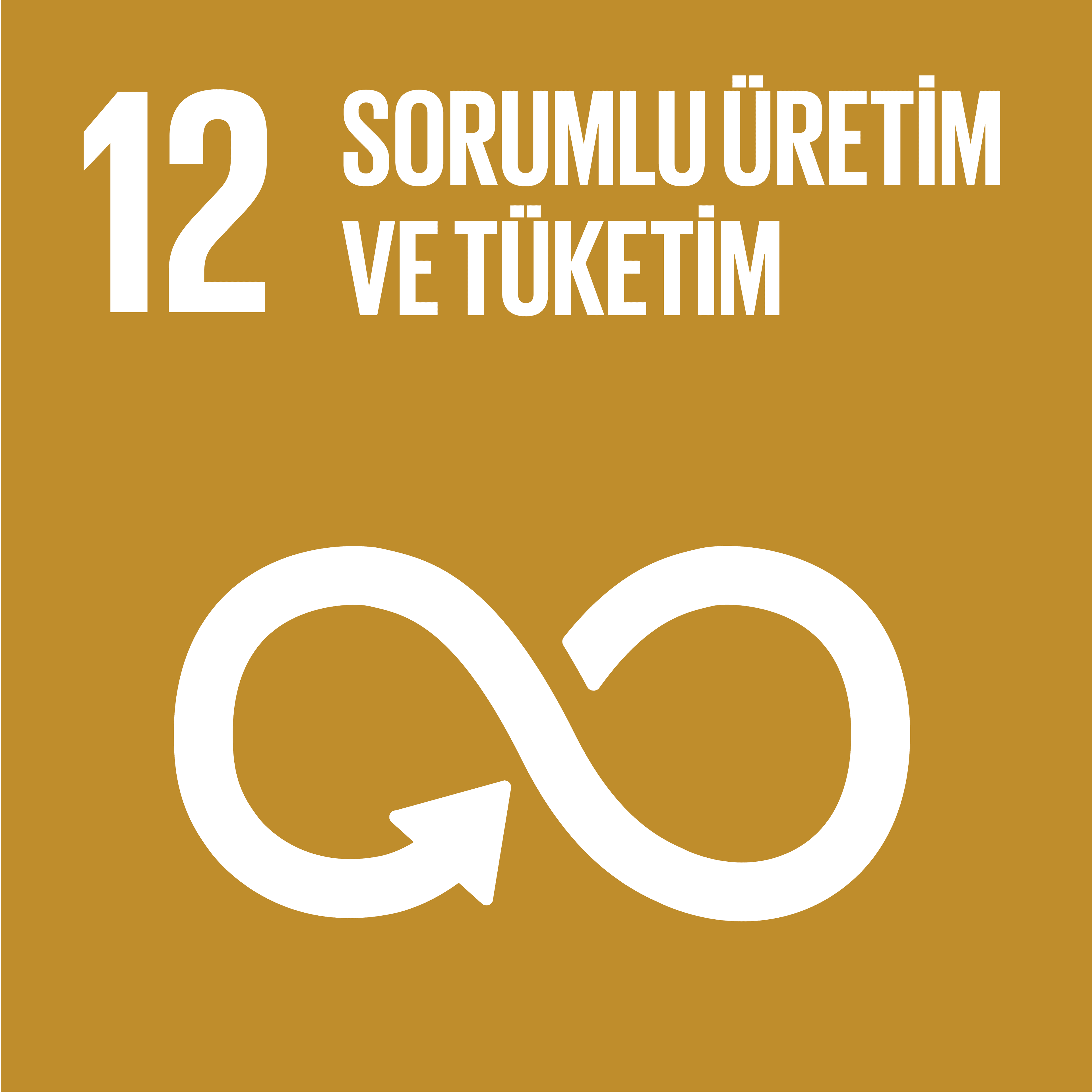 Küresel Amaç 12: Sorumlu Üretim ve Tüketim